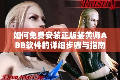 如何免费安装正版鉴黄师ABB软件的详细步骤与指南
